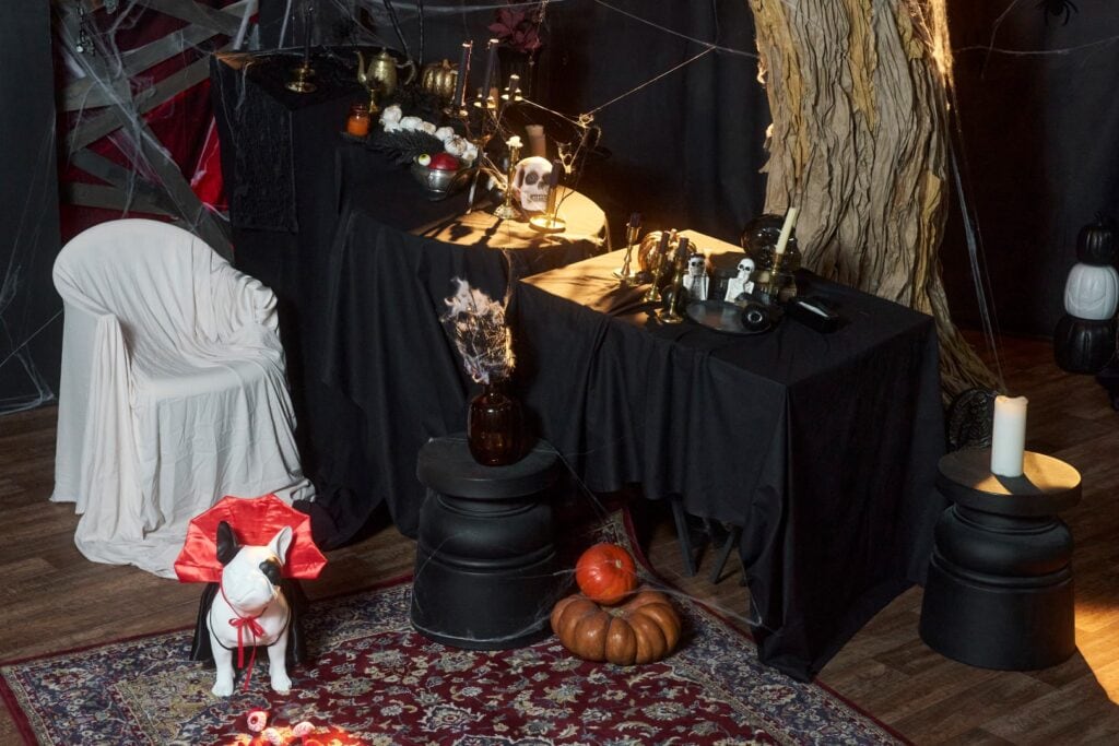 Objevte, jaké halloween dekorace vybrat, abyste doma vytvořili kouzelnou a hravou atmosféru plnou fantazie a podzimní pohody.