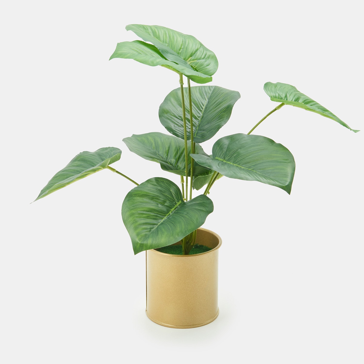 Sinsay – Decorative plant – Auriu Sinsay Sinsay