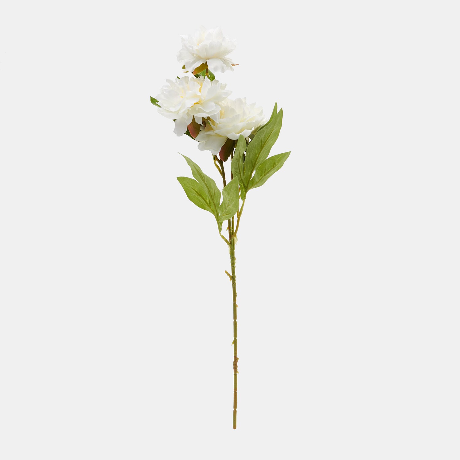 Sinsay – Floare decorativă – Alb Sinsay Sinsay