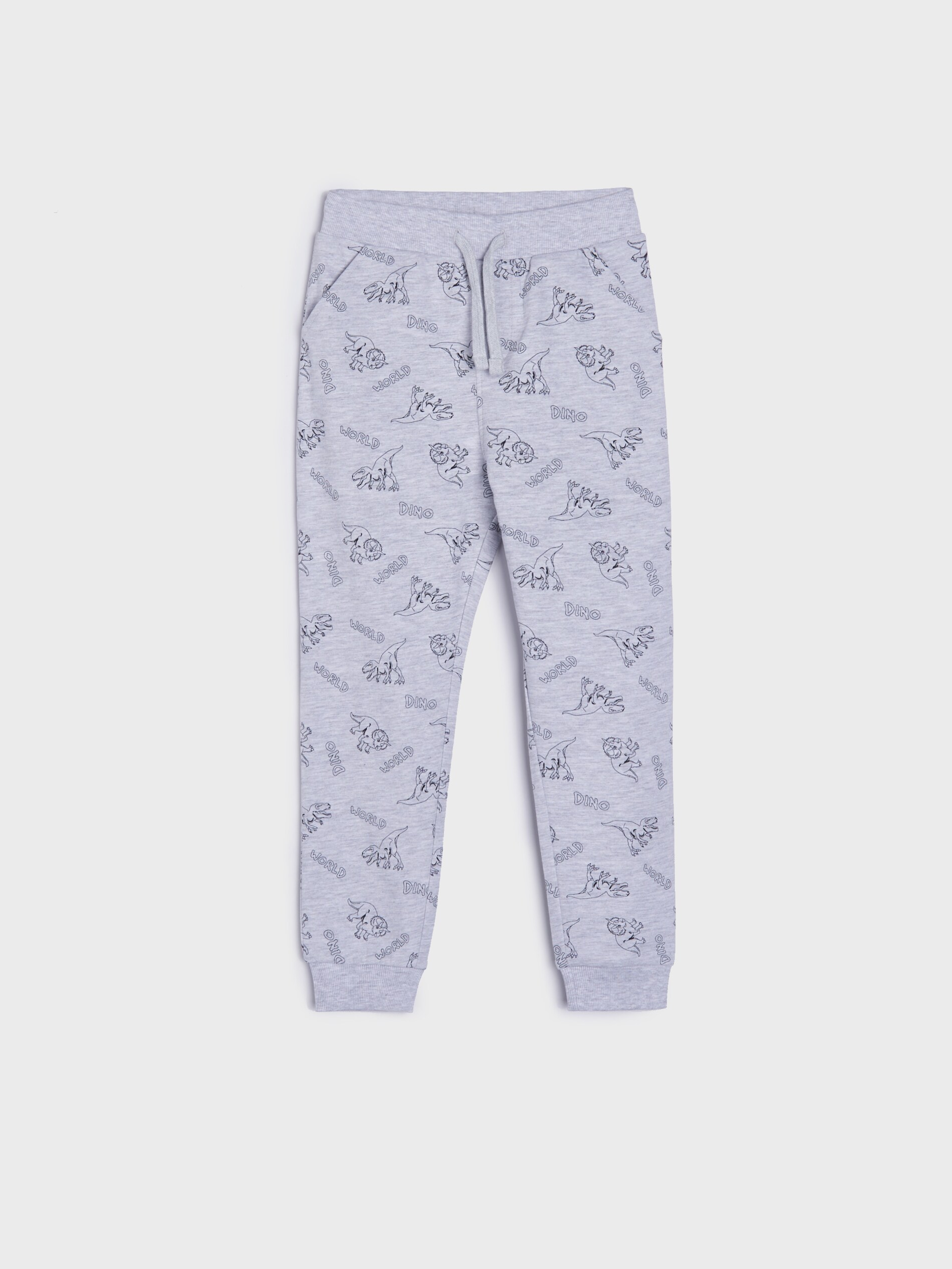 Tepláky s potlačou s motívom dinosaurov