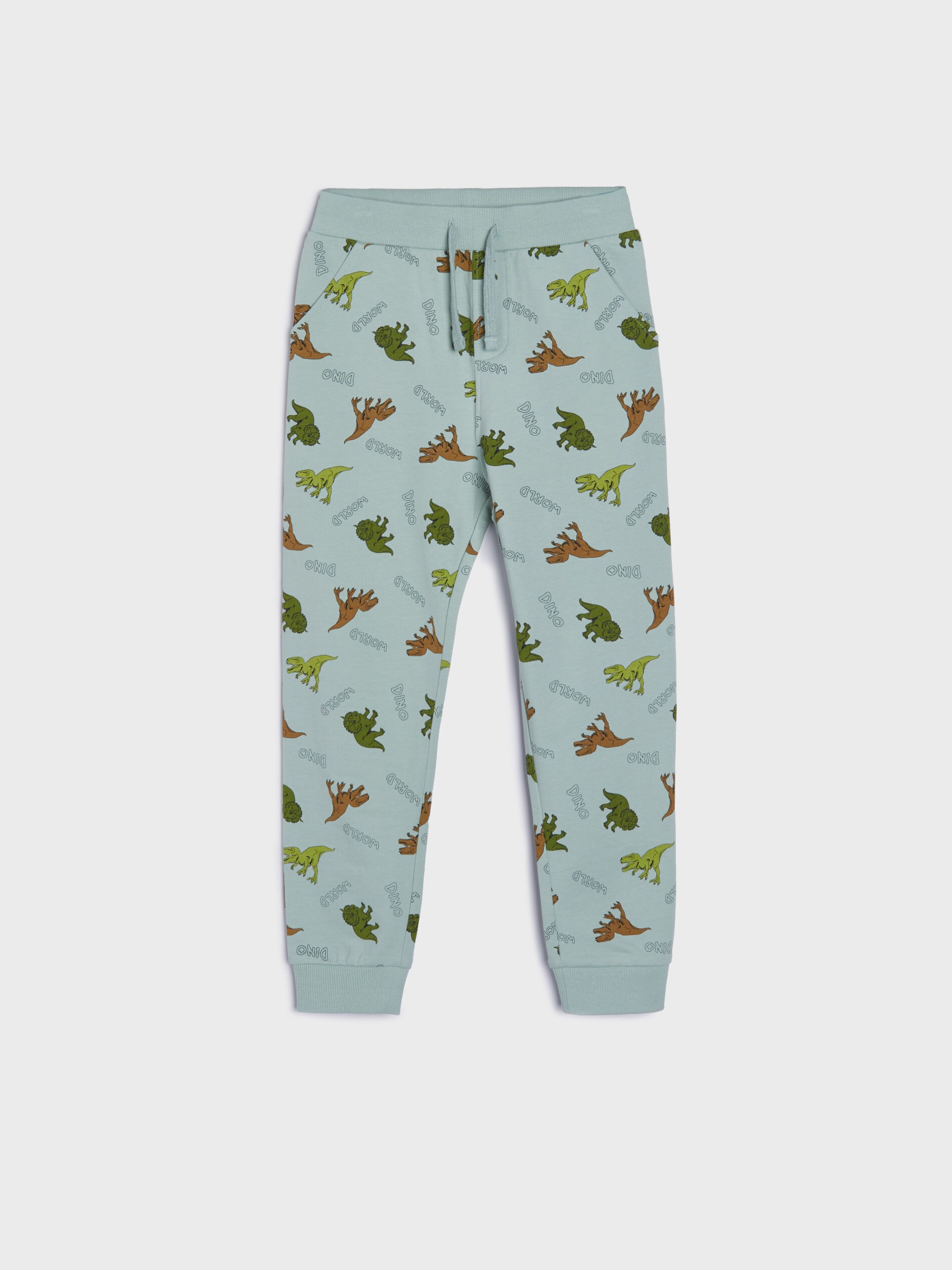 Tepláky s potlačou s motívom dinosaurov