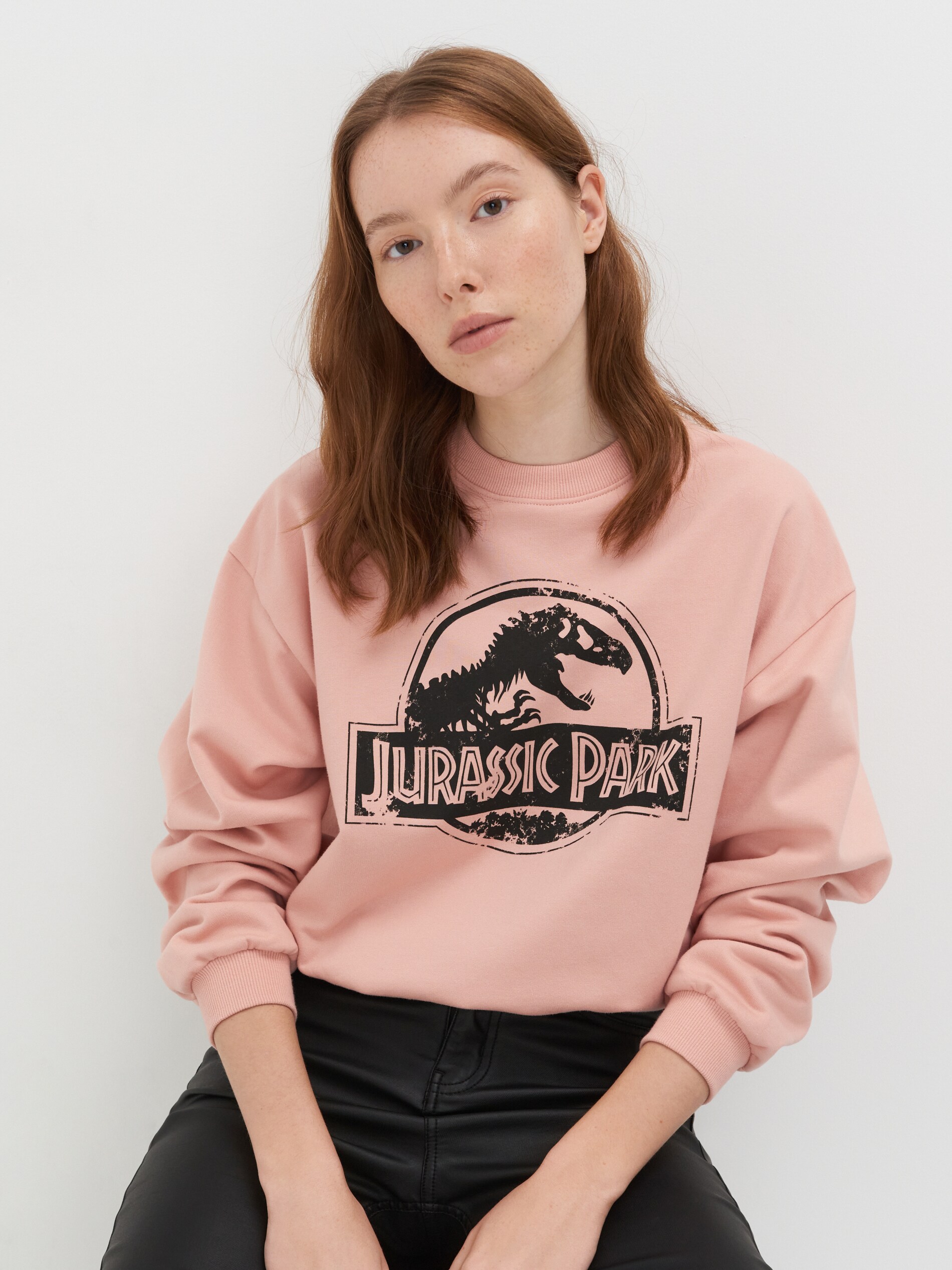 Mikina Jurassic Park