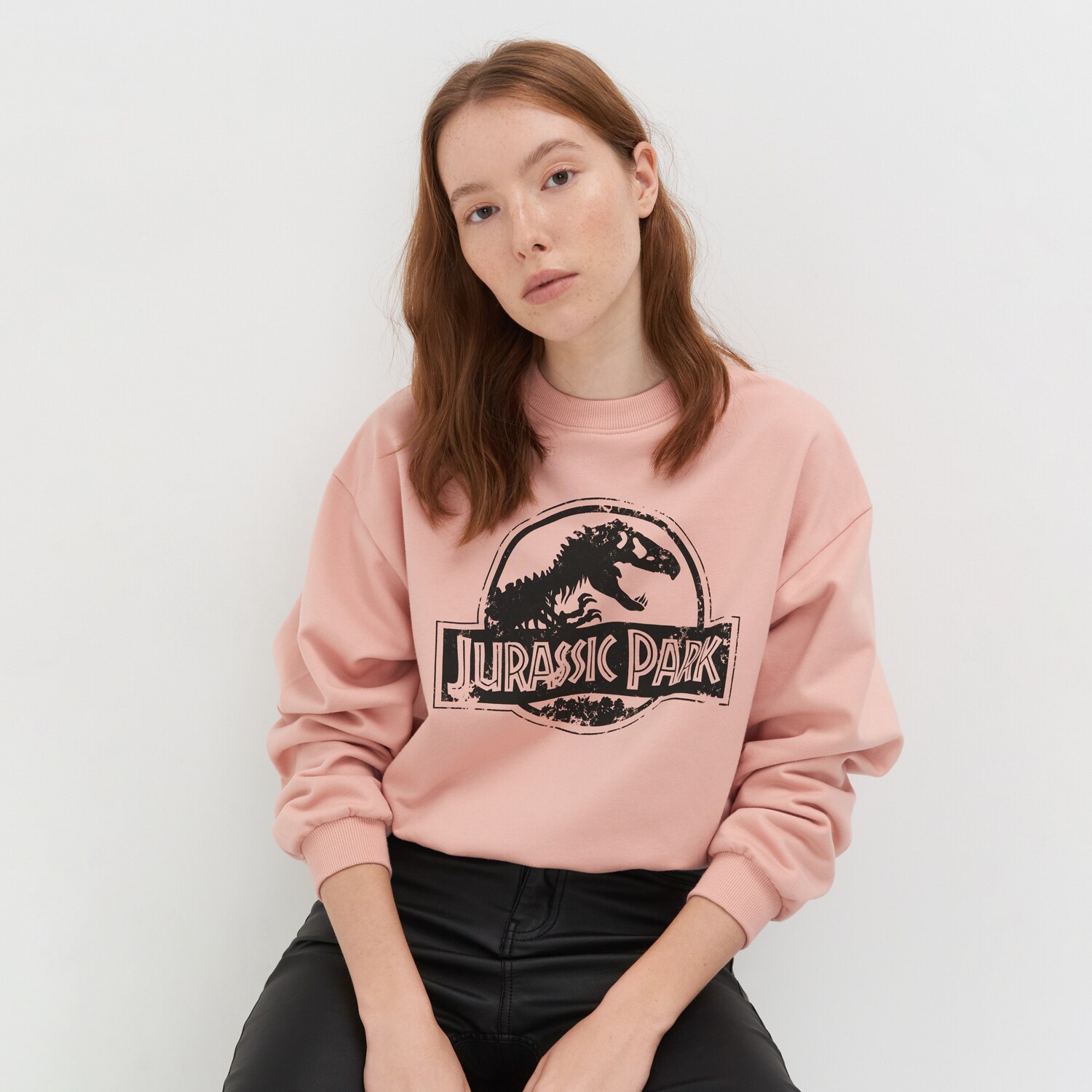 Mikina Jurassic Park