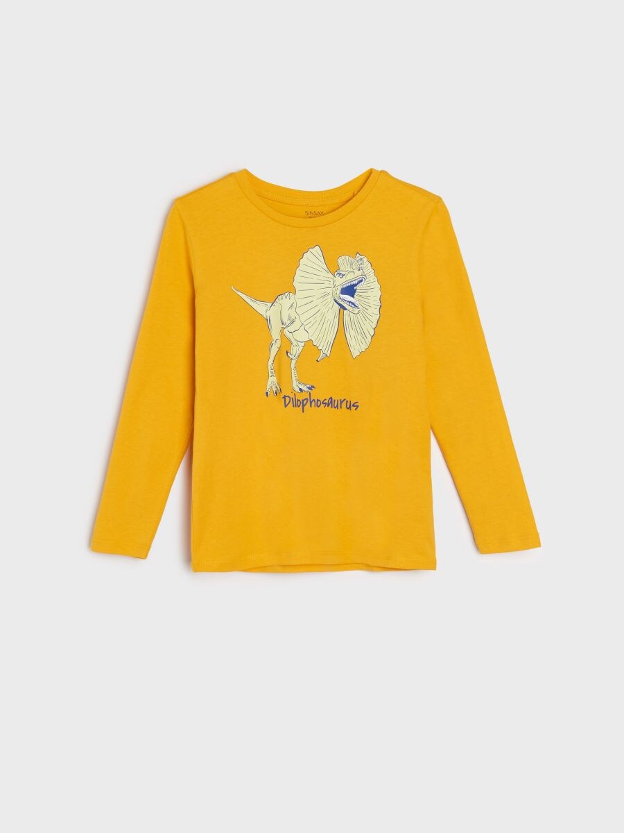 Camiseta de manga larga con estampado, SINSAY, 9588E-18X